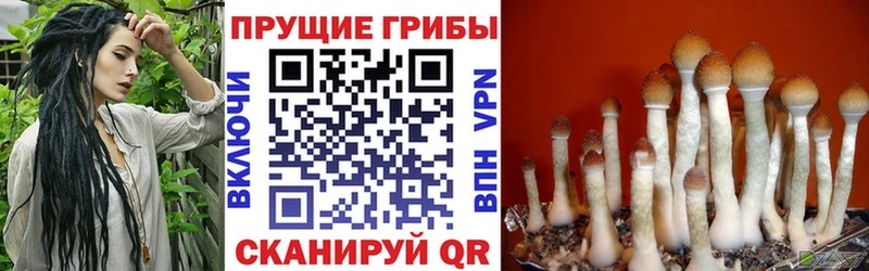 Псилоцибиновые грибы мухоморы  Болотное 
